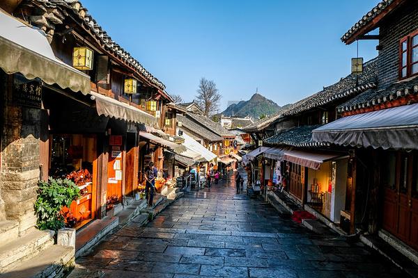 冷知识分享平台-托什么东西最省力脑筋急转、,探索世间奇妙的冷知识